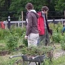 Green Action Food Co-op