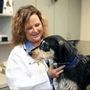 Photo of Rose Rock Veterinary Hospital & Pet Resort