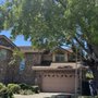 Tamayo's Tree Service