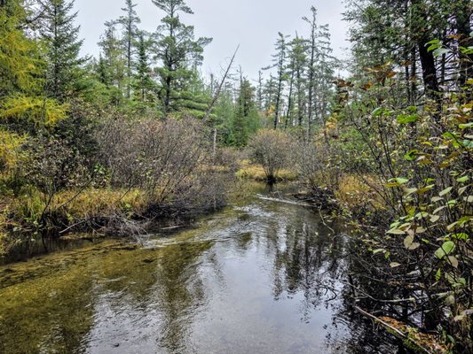 Hartwick Pines Logging Museum by null