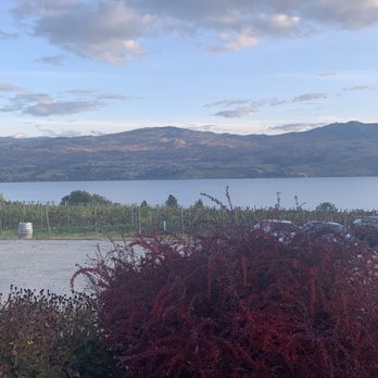 Quails' Gate Winery - The view - Wineries Near Me - Kelowna, British Columbia Quails' Gate Winery - The view - Wineries Near Me - Kelowna, British Columbia