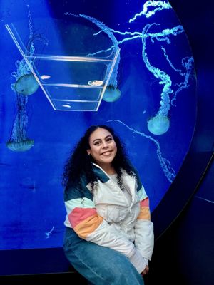 SeaWorld San Diego by null