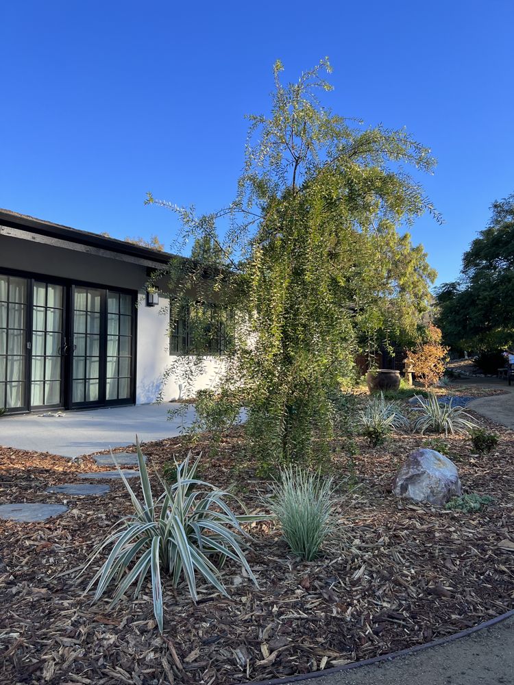 BELLE TERRE LANDSCAPES Updated September 2024 277 Photos & 26