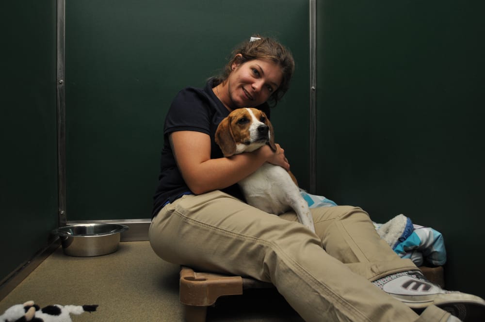 RESORT FOR PETS Updated September 2024 52 Photos & 18 Reviews