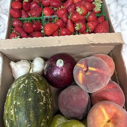 Marin Community Farm Stand & CSA - Fresh local Fruit