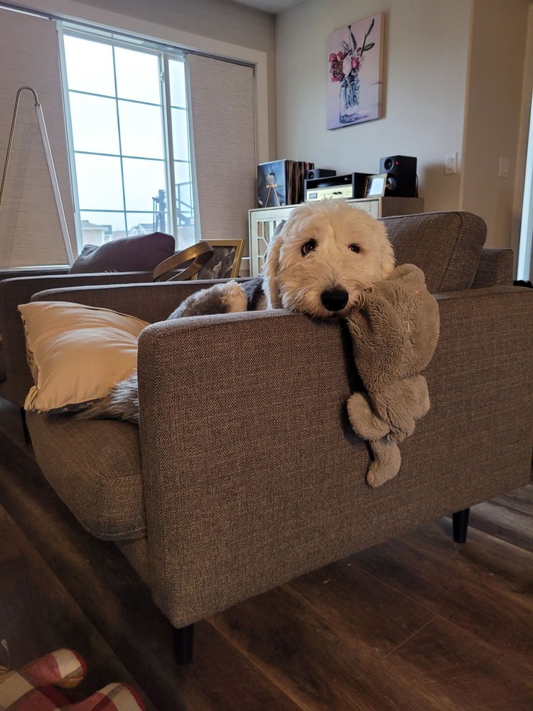 SIT STAY SPA FARGO Updated August 2024 415 32nd Ave E, West Fargo, North Dakota Pet