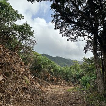 Moanalua Middle Ridge - Wide part of the trail - Hiking Near Me - Honolulu, Hawaii Moanalua Middle Ridge - Wide part of the trail - Hiking Near Me - Honolulu, Hawaii