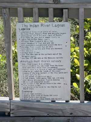 McLarty Treasure Museum by null