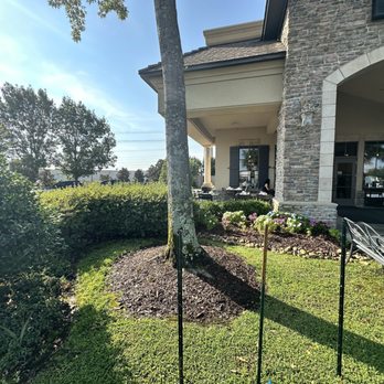 Delta Biscuit - Just outside - Breakfast & Brunch Near Me - Monroe, Louisiana