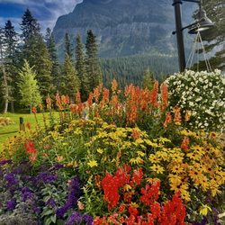 Banff Day Trips
