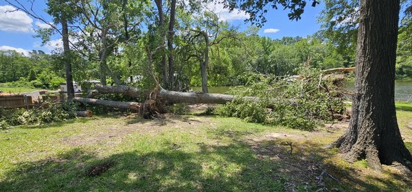 Storm cleanup, Before and After photos. May 2025. - We were called out to do this job in early May after a big storm came through and uprooted a couple trees on our customers Air B&B property and damaged a couple others. We were able to get the property cleaned up and safe for them before their guests arrived in the following days. Storm cleanup, Before and After photos. May 2025. - We were called out to do this job in early May after a big storm came through and uprooted a couple trees on our customers Air B&B property and damaged a couple others. We were able to get the property cleaned up and safe for them before their guests arrived in the following days.
