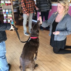 Woof Gang Bakery & Grooming Wilmington - Happy girl
