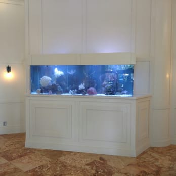 Champion Aquariums - Another shot of Mystic Pointe Lobby Aquarium - Aquarium Services Near Me - Pompano Beach, Florida Champion Aquariums - Another shot of Mystic Pointe Lobby Aquarium - Aquarium Services Near Me - Pompano Beach, Florida