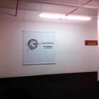 Whatta Pup! - Rubber flooring for easy sanitation and gentle on doggie-joints. - Pet Training Near Me - Toronto, Ontario