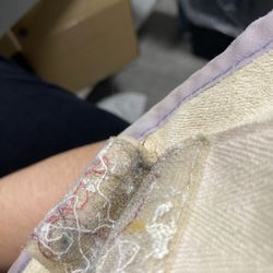 Theradynamics Physical & Occupational Therapy - Someone else's hair on the heating pad Velcro