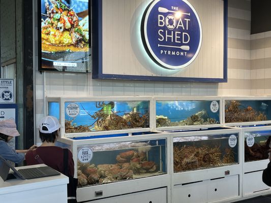 Sydney Fish Market by null