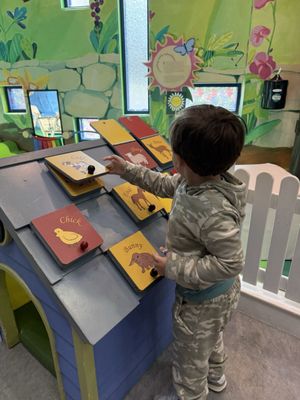 Children's Museum of the East End by null