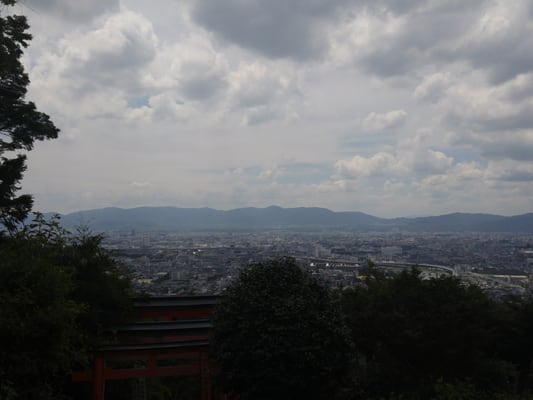 Senbon Torii (Thousand Torii Gates) by null