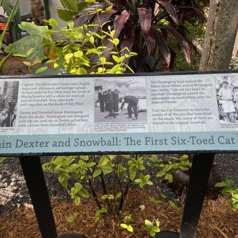Ernest Hemingway Home  - Museums Near Me - Key West, Florida