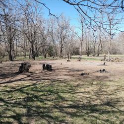 ICT Tree Service - Tree stump removal