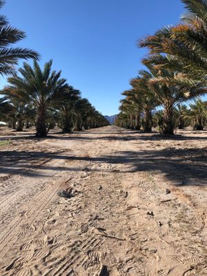 NAKED DATES - Updated March 2025 - 32 Photos & 15 Reviews - 13589 S Ave