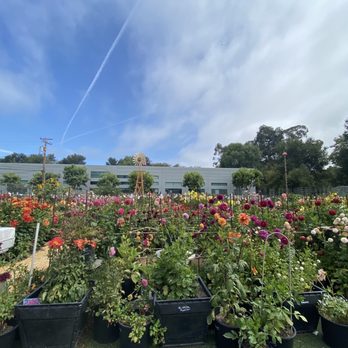 Post Street Farm - Pumpkin Patches Near Me - Santa Cruz, California