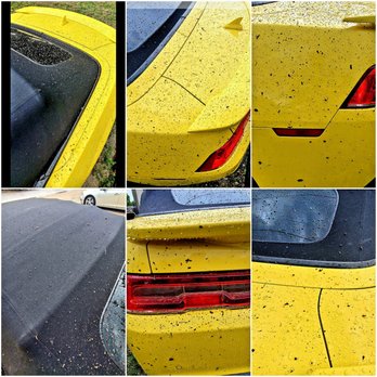 One Source Property Solutions - four different shots of a yellow car - Pool Cleaners Near Me One Source Property Solutions - four different shots of a yellow car - Pool Cleaners Near Me