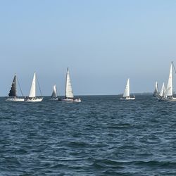 Davis Island Trail