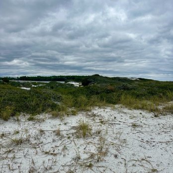 Grayton Beach State Park - Parks Near Me - Santa Rosa Beach, Florida