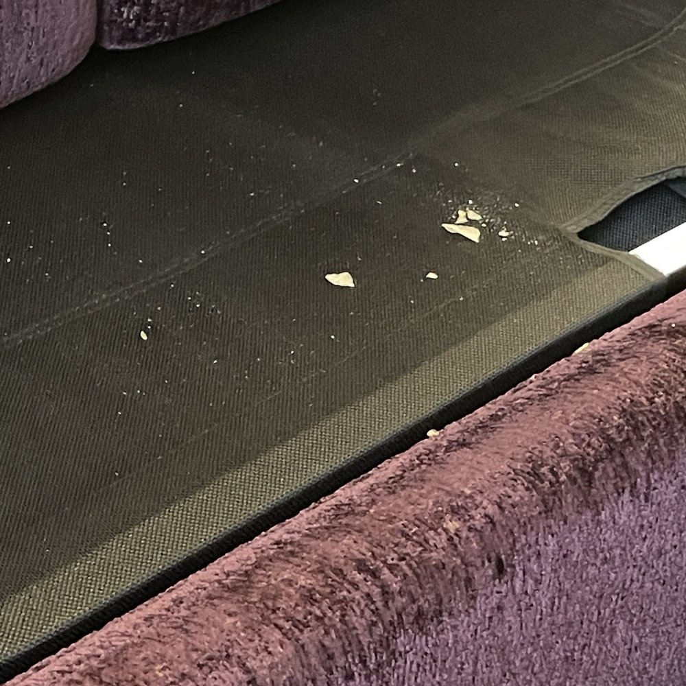 The Ashton Hotel - Crumbs under couch cushions - These were there upon check in (we plan to use the pull out bed tonight for our kids) - Hotels Near Me - Fort Worth, Texas The Ashton Hotel - Crumbs under couch cushions - These were there upon check in (we plan to use the pull out bed tonight for our kids) - Hotels Near Me - Fort Worth, Texas