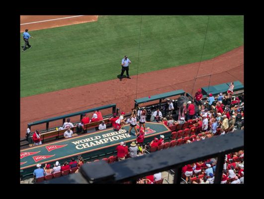 Busch Stadium by null
