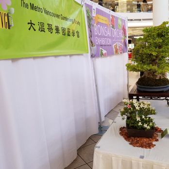 Aberdeen Centre - Garden bonsai expo - Shopping Centers Near Me - Richmond, British Columbia