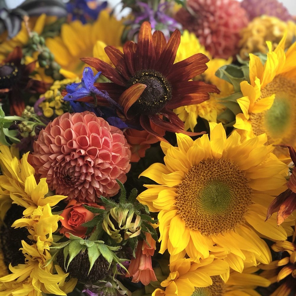Inblume - Arrangements - Home & Garden Near Me - Burbank, California Inblume - Arrangements - Home & Garden Near Me - Burbank, California