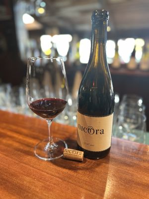 Sea Chest Oyster Bar by null