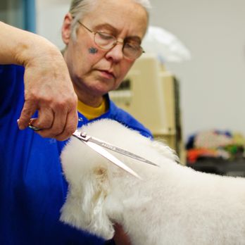 Ridgeview Animal Hospital - Veterinarians Near Me - Omaha, Nebraska Ridgeview Animal Hospital - Veterinarians Near Me - Omaha, Nebraska