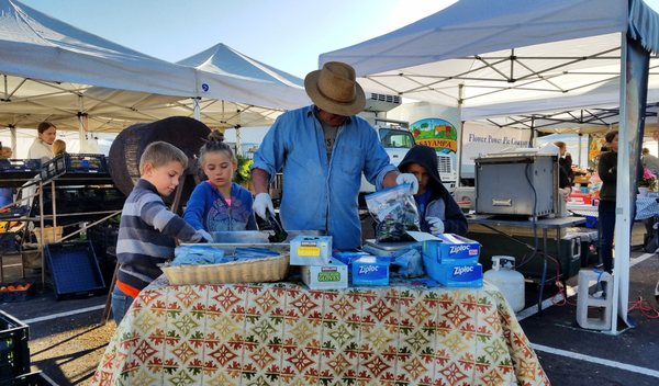 Prescott Farmers Market by null