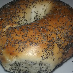 Freshy Fresh Bagels