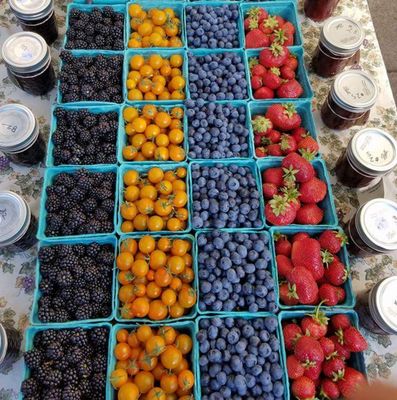 Midway Farms | Fresh Goods | Albany by null
