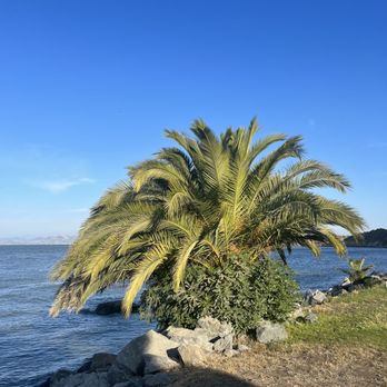 McNears Beach - Beaches Near Me - San Rafael, California