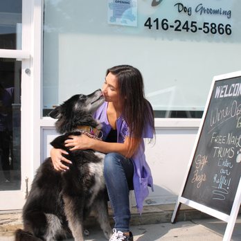 Juno's Grooming - Pet Groomers Near Me - York, Ontario