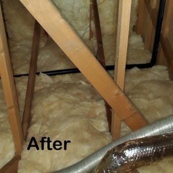 Attical Insulation and Rodents - Insulation Installation Near Me Attical Insulation and Rodents - Insulation Installation Near Me