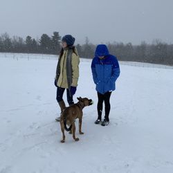 Middlebury Dog Park - Good Hazel!