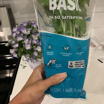 Trader Joe's - Picked up a basil plant a lavender bouquet! - Grocery Near Me - Metairie, Louisiana Trader Joe's - Picked up a basil plant a lavender bouquet! - Grocery Near Me - Metairie, Louisiana