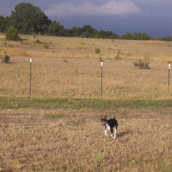 Eight Mile Ranch - Pet Sitting Near Me - Cañon City, Colorado Eight Mile Ranch - Pet Sitting Near Me - Cañon City, Colorado