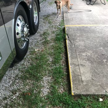 Bowling Green KOA - A little grass and weed killer would go far. - Campgrounds Near Me - Bowling Green, Kentucky