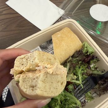 Mother Dough Bakery - Moroccan chicken salad sandwich - Bakeries Near Me - Minneapolis, Minnesota Mother Dough Bakery - Moroccan chicken salad sandwich - Bakeries Near Me - Minneapolis, Minnesota