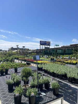 PERINO’S HOME & GARDEN CENTER - Updated July 2025 - 183 Photos & 58 ...