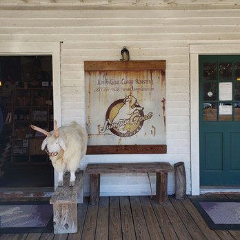JumpinGoat Coffee Roasters - Coffee & Tea Near Me - Helen, Georgia