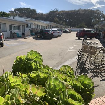 Cambria Beach Lodge - Succulents rule this place. - Hotels Near Me - Cambria, California