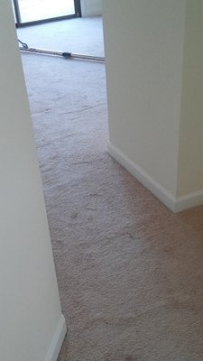 Carpet Repair - WHEN DOES YOUR CARPET NEED STRETCHING?

​If you have wrinkles in your carpet, then it is time to stretch your carpet. This can be caused by poor installation, heavy traffic, or the carpet is just aging.
